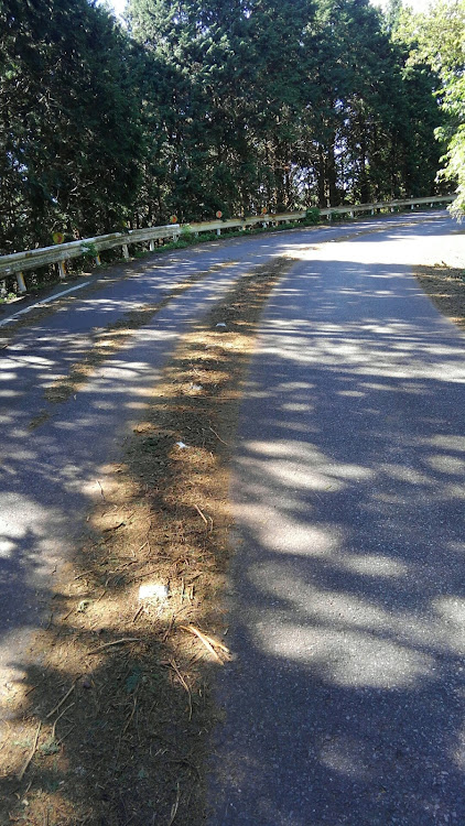 榊屋さんが投稿したスピン現場に関するカスタム事例の投稿画像1枚目