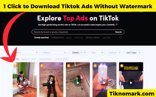 TikNoMark; Download Tiktok Ad Videos without Watermark and with 1 Click!