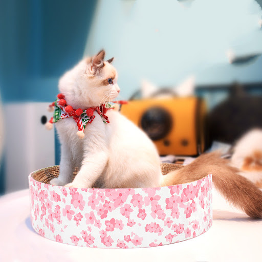 Title 3, Round corrugated cat scratcher providing a dura...
