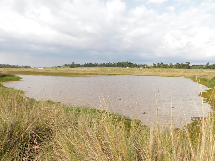 Mumbi dam in Mathathi village, Ol Kalou. It is being rehabilitated by the National Irrigation Authority at a cost of Sh18.3 million.