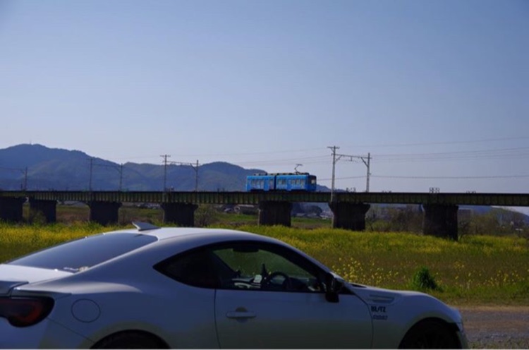 86の河川敷の菜の花・愛車撮影・春だよー・黄色い絨毯・菜の花と愛車に関するカスタム事例の投稿画像8枚目