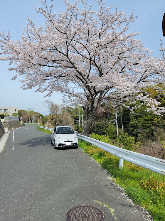 の投稿画像3枚目