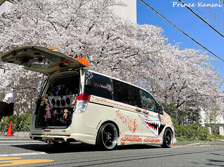 ステップワゴンの愛車と桜・お花見シーズン・ソメイヨシノ・町内の桜パトロール・町内はどこも満開🌸に関するカスタム事例の投稿画像2枚目