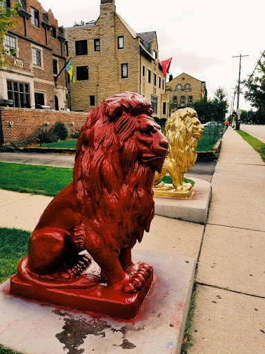 Golden Lions