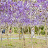 紫藤咖啡園(水源園區)