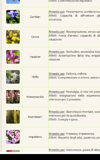 Fiori di Bach Facile