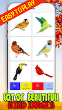Nice Birds Pixel Art: Coloring By number