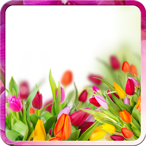 Flowers Live Wallpaper 個人化 App LOGO-APP開箱王