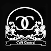 Cafe Central, Lajpat Nagar 4, New Delhi logo