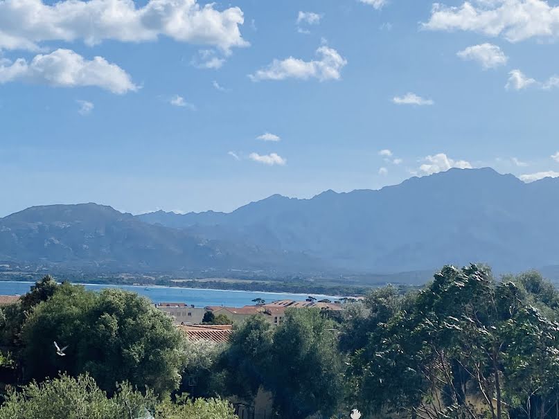 Vente appartement 1 pièce 29 m² à Calvi (20260), 250 000 €