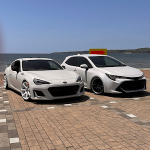 BRZ ZC6