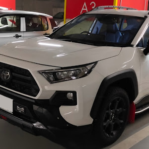 RAV4 MXAA54