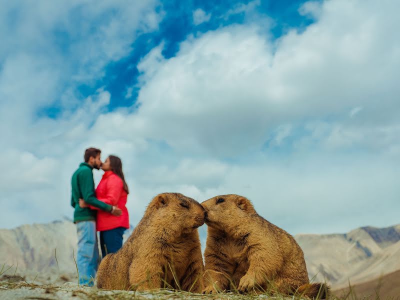 Hochzeitsfotograf Divyam Mehrotra (divyam). Foto vom 21. Juni 2022