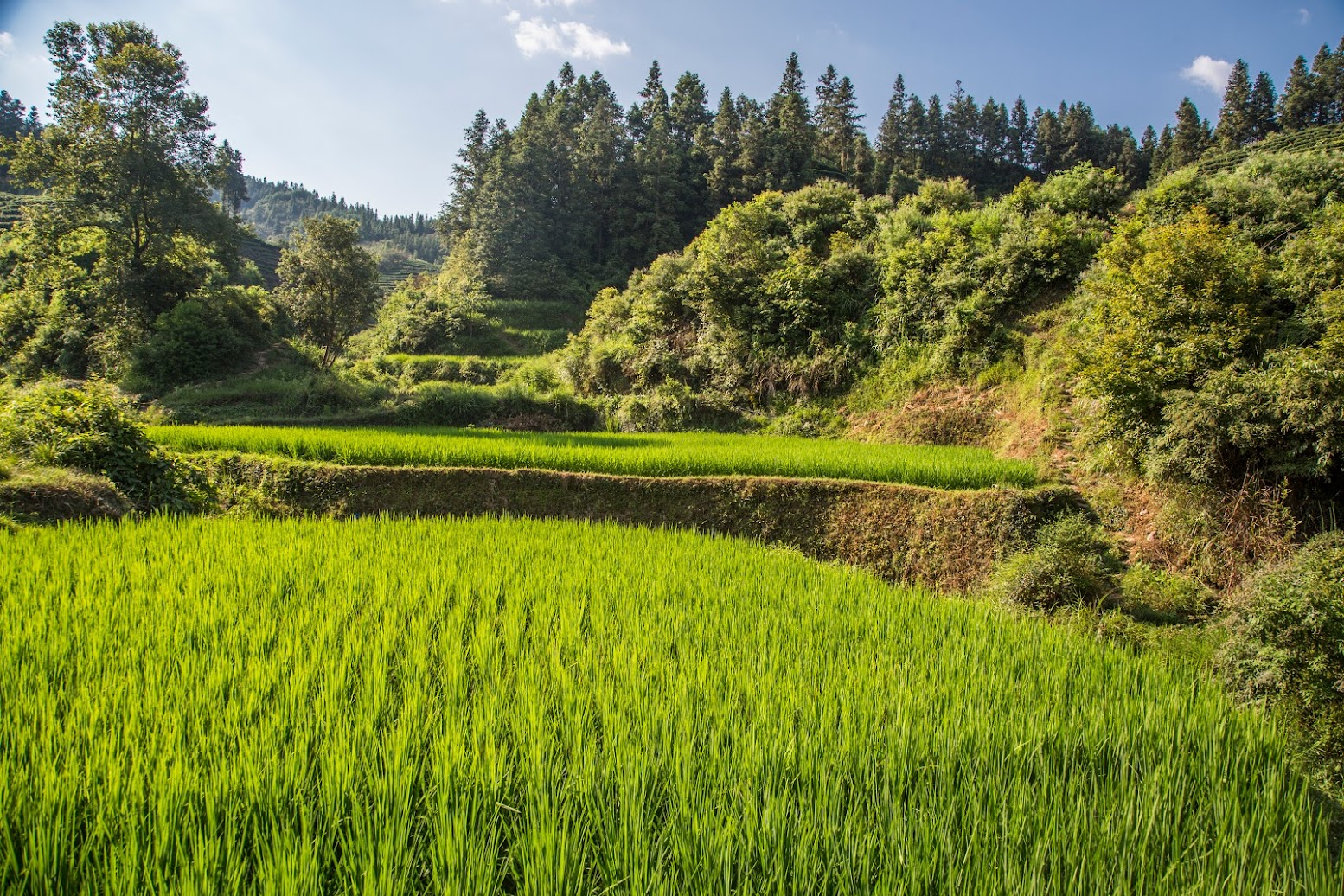 Китайские сказки июля - Yangshuo, TianTou, Chengyang, Furong, Tianmen, Zhangjiajie, Guangzhou, Macao, HongKong