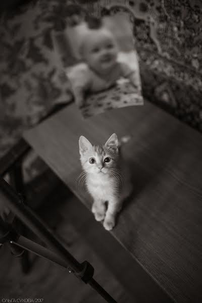 Fotógrafo de bodas Olga Sukhova (suhovaphoto). Foto del 6 de octubre 2017