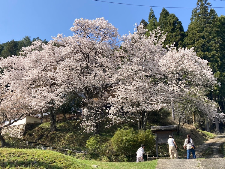 の投稿画像2枚目