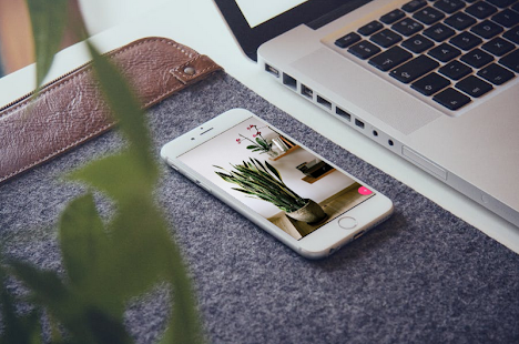 House Plant Ideas - náhled