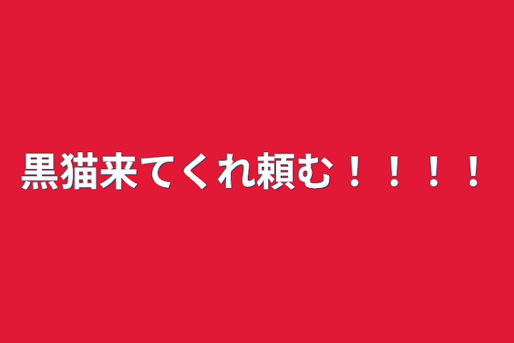 「黒猫来てくれ頼む！！！！」のメインビジュアル