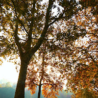 Autunno e riflessioni in riva al fiume  di Xela_foto