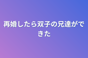 再婚したら双子の兄達ができた