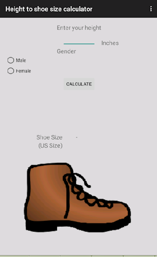 Shoe Size Calculator