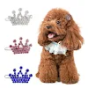 miniatures image - 2