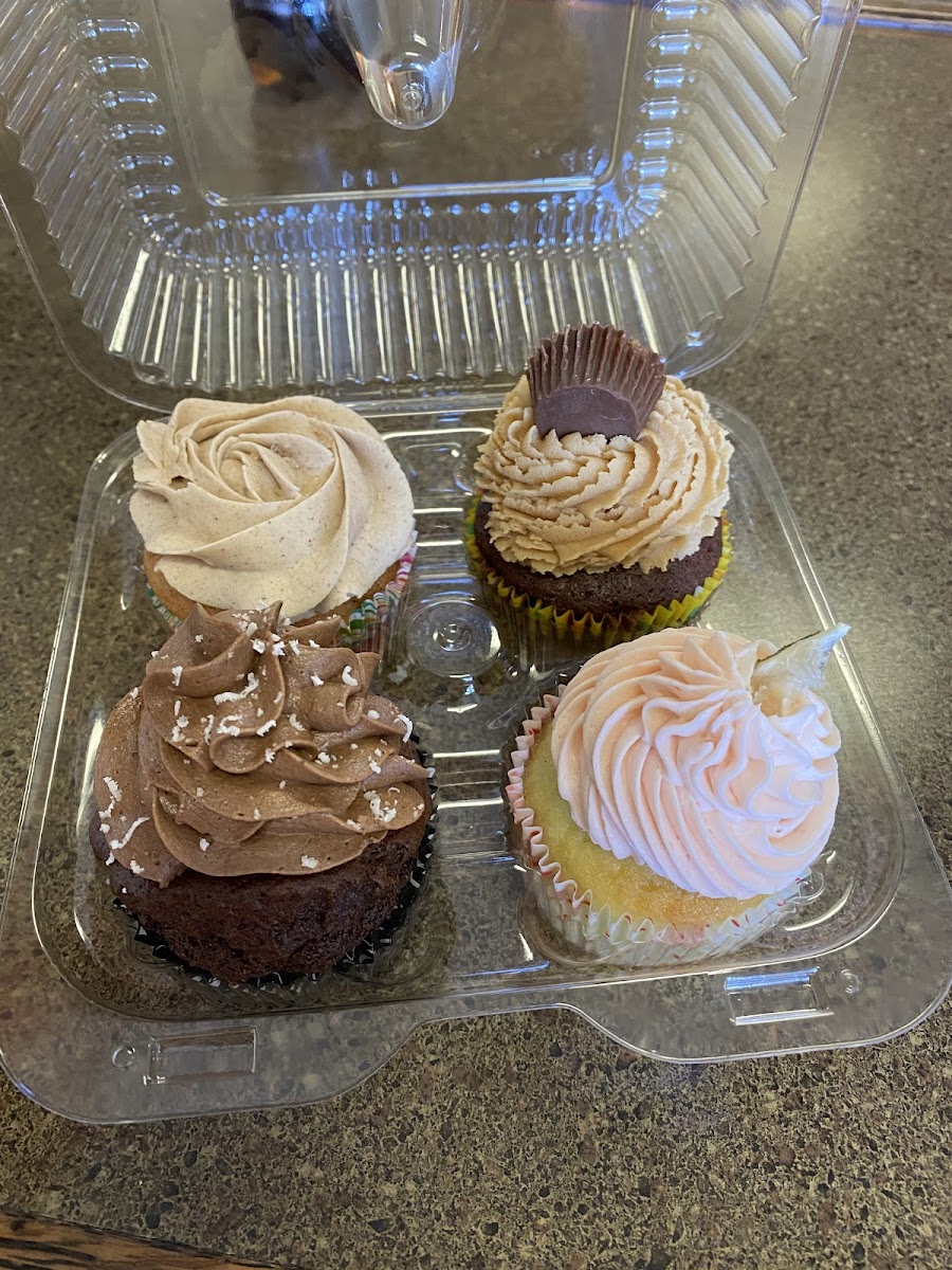 Gluten-Free Cupcakes at 3 Bears Gluten Free Bakery and Cafe