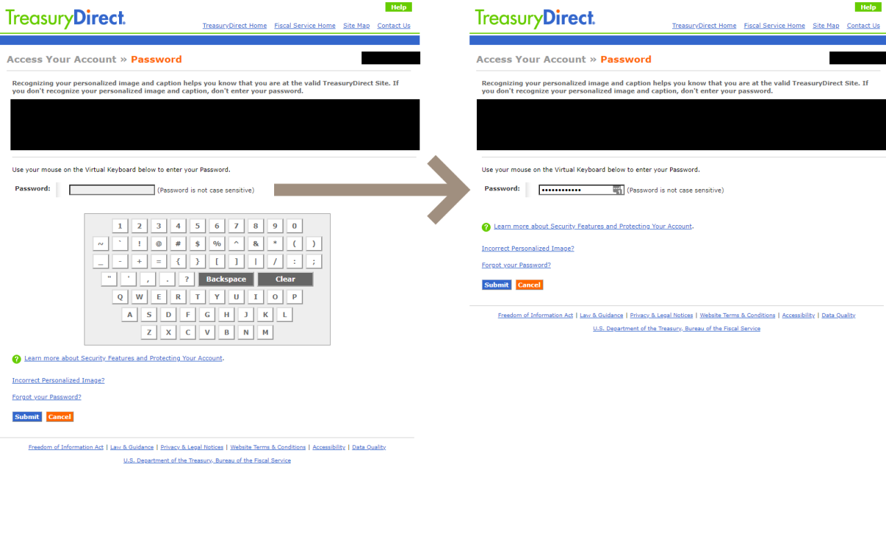 Treasury Direct Password Enabler Preview image 0