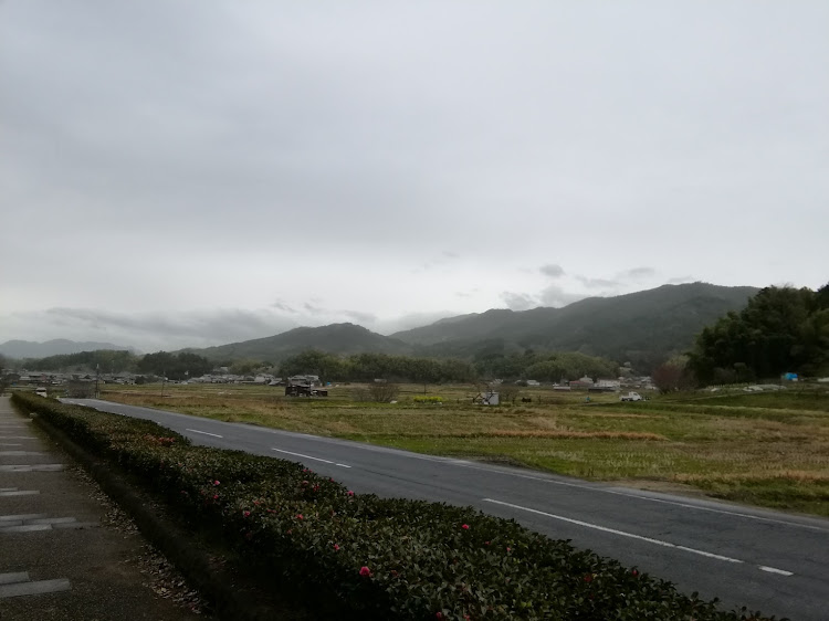 フーガの桜てんぐ巣病・石積擁壁と階段・飛鳥板蓋宮跡・飛鳥坐神社の参道？に関するカスタム事例の投稿画像3枚目