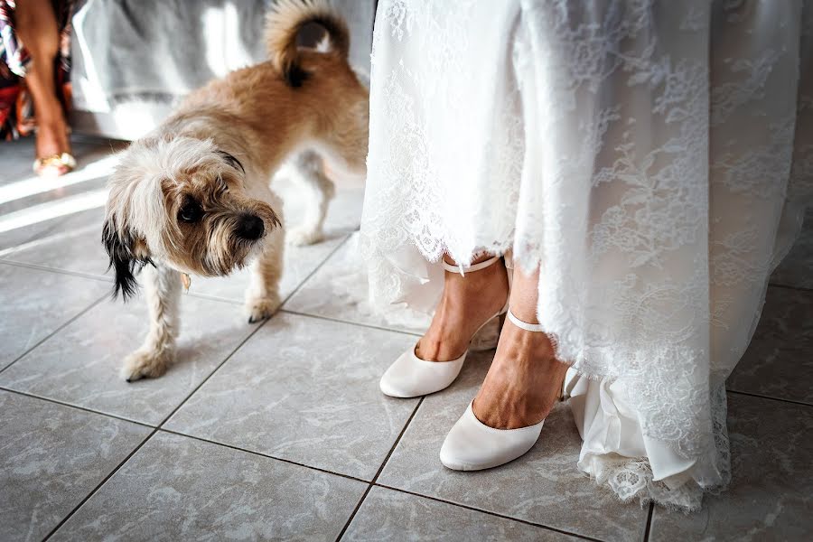 Fotografo di matrimoni Alessandro Giacalone (alessandrogiac). Foto del 24 novembre 2021