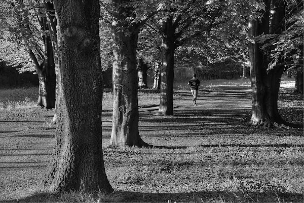 Jogging fra Luci ed Ombre di Paolo Scabbia