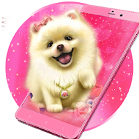 Cute Fluffy Puppy Live Wallpaper