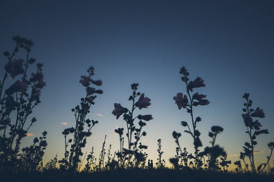 Fotógrafo de bodas Ivan Troyanovskiy (vani). Foto del 27 de junio 2014