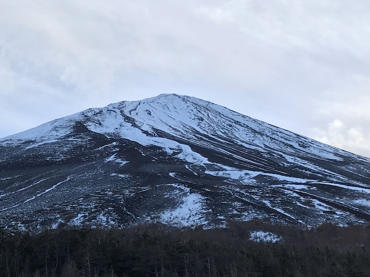 の投稿画像3枚目