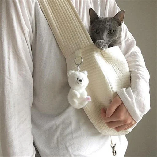 Handmade Dog Bag Pet Kitten Carrier Outdoor Travel Handbag Canvas Single Shoulder Cat Bag Sling Comfort Tote Bag Breatha