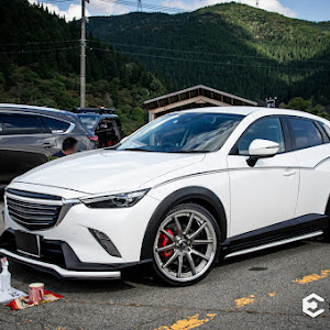 CX-3 DKEFW