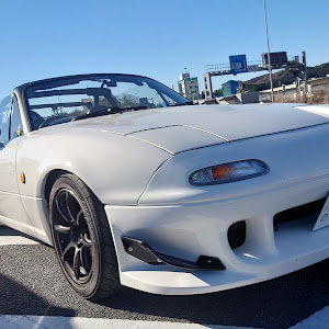 ロードスター NA8C