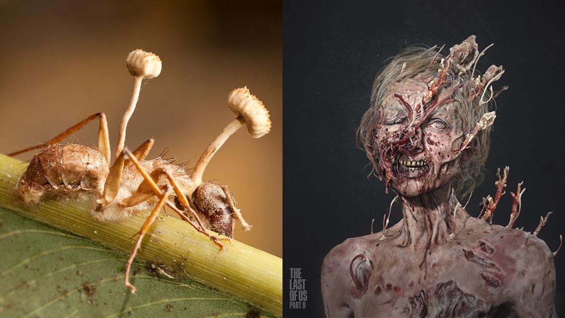 Por que Ellie é imune ao Cordyceps em The Last of Us?