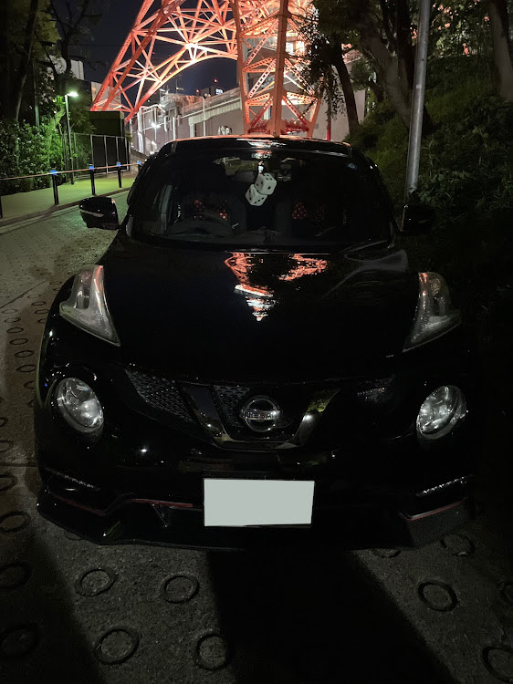 ジュークのスカpさんが投稿したカスタム事例の投稿画像1枚目