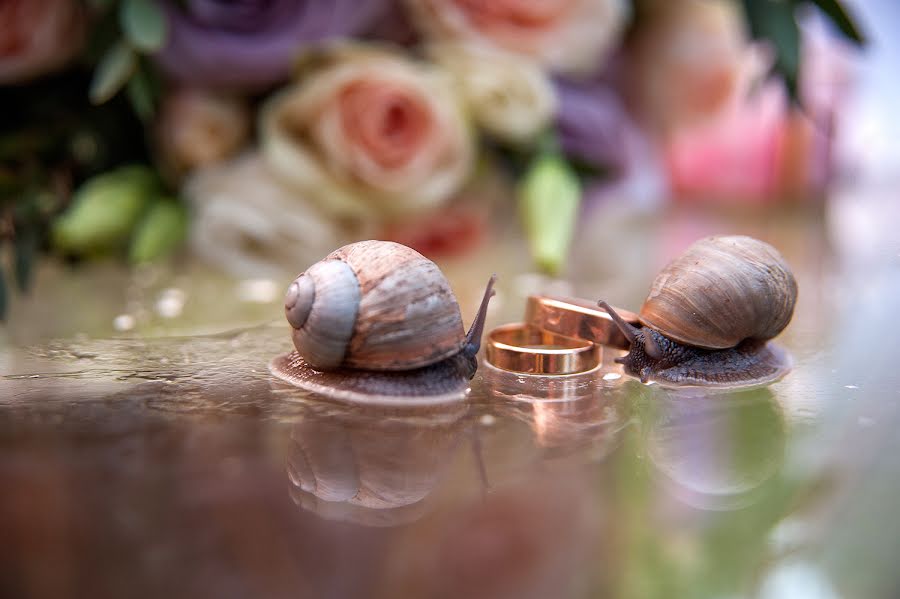 Fotógrafo de bodas Lyudmila Loy (lusee). Foto del 2 de junio 2020