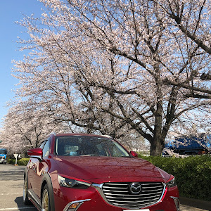 CX-3 DKEFW