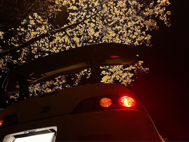 インテグラの桜と愛車・夜桜と愛車に関するカスタム事例の投稿画像6枚目
