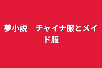 夢小説　チャイナ服とメイド服