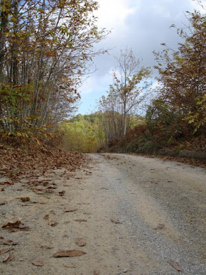 In autunno di Siberiana