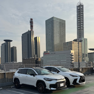 カローラクロス MXGH15