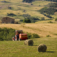 Il tempo del fieno di 