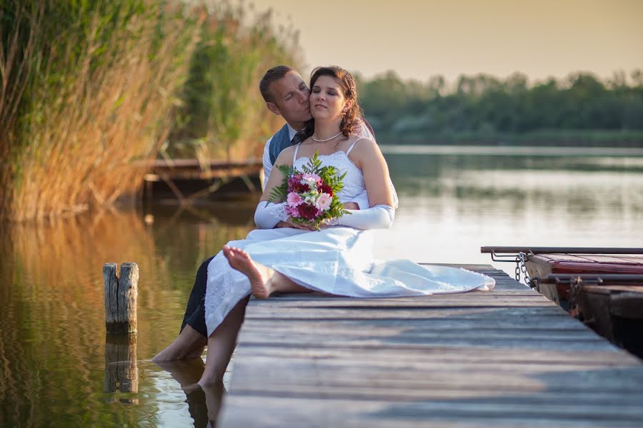 Fotógrafo de casamento Gál Zoltán (pusztafoto). Foto de 30 de março 2016