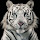 White Tiger New Tab & Wallpapers Collection