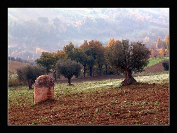 Autunno di emorpi