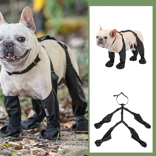 Anti-Slip Dog Shoes Waterproof Adjustable Dog Boots Pet Breathbale Shoes for Outdoor Running Small Medium Dog Paws Prote